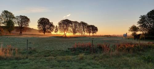 Lantligt och lugnt boende nära natur och stad