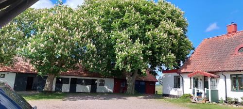 Lantligt och lugnt boende nära natur och stad