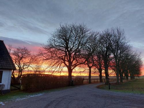 Lantligt och lugnt boende nära natur och stad