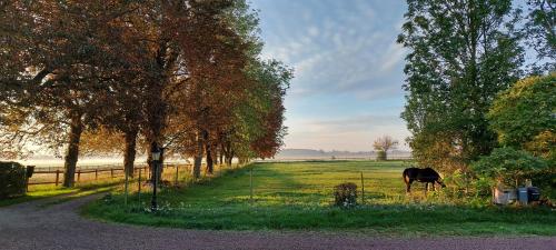 Lantligt och lugnt boende nära natur och stad