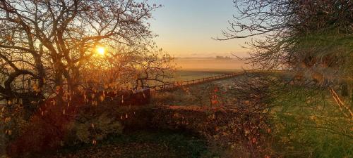 Lantligt och lugnt boende nära natur och stad