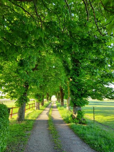 Lantligt och lugnt boende nära natur och stad