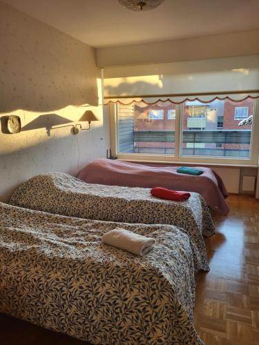 Large apartment with 4 bedrooms, central location, Tampere (fotografie 8)