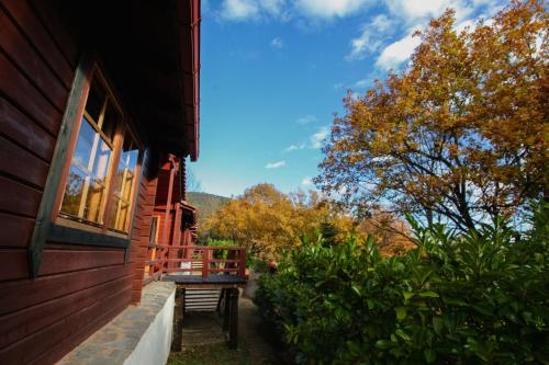 Τετραπολις Wellness Farm in 普利德羅索斯