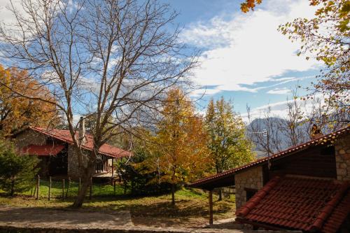 Τετραπολις Wellness Farm in 普利德羅索斯