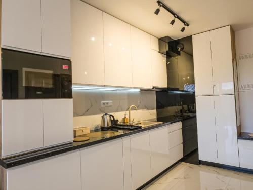 Konyha, Beskid Apartamenty in Nowy Sącz