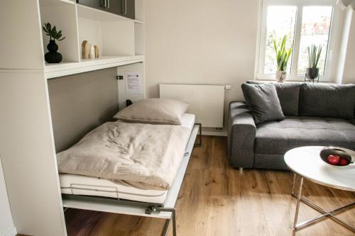 familienfr. FeWo in Dresden-Striesen, Drážďany (fotografie 3)