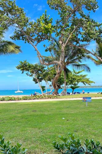 Fortunity Beach Tower-2 BDR with pool view