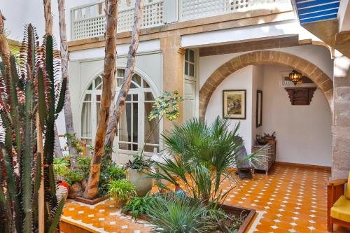 Chems Bleu, Essaouira (foto 9)