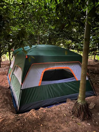 Dragster Tents