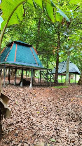 Dragster Tents in Čalakudija