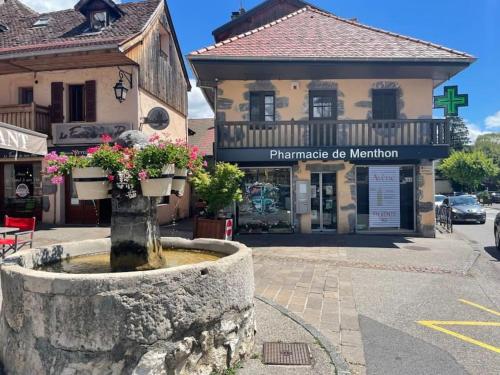 Charmant Appartement Lac d'Annecy / Ski - 6 Pers