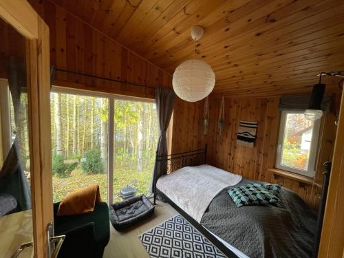 Modry Domek Sznurki Całoroczny Ogrodzony (Modry Domek Sznurki Caloroczny Ogrodzony) in Brodnica Gorna