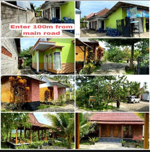 Adventure Turtle Homestay Meru Betiri