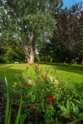 Escape to Ash House 18th Century Manor in Somerset