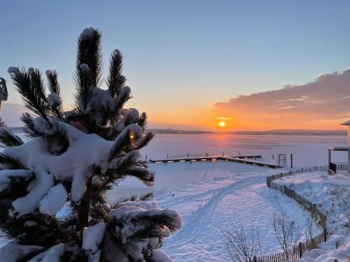 Omgivelser, HAUS IM SCHILF 2 - Oase mit Seeblick - Adults only in Neukieritzsch