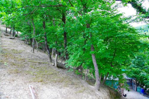 Agriturismo Biologico Villa Rosa