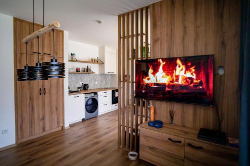 Kitchen, Horsky apartman U Toma in Cerny Dul