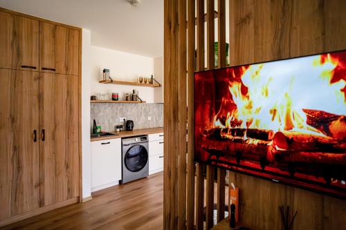 Kitchen, Horsky apartman U Toma in Cerny Dul