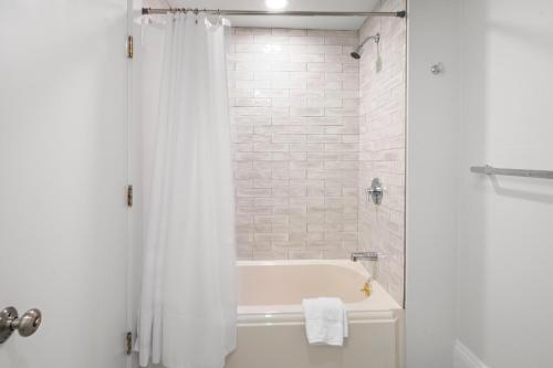 Charlesgate Suites 2