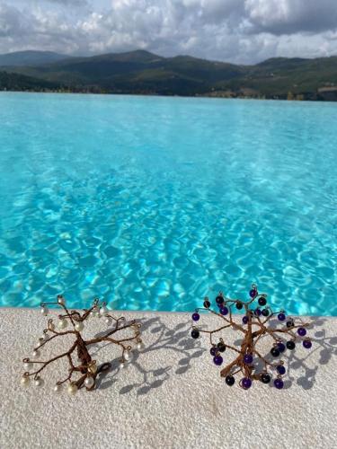  Casa Luna GUEST HOUSE in Niccone