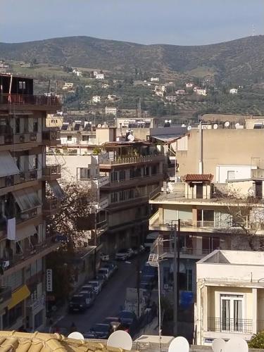 Skats, CENTRAL VIEW ΜΙΔΕΙΑ in Livadia (Voiotia)