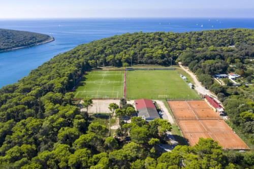 Ginkgo Apartments - image 6