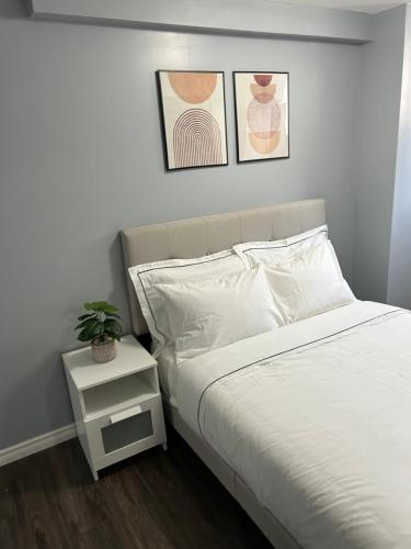 Cozy basement in Brampton