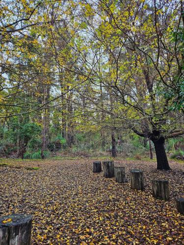 Forest Trails House, Dwellingup