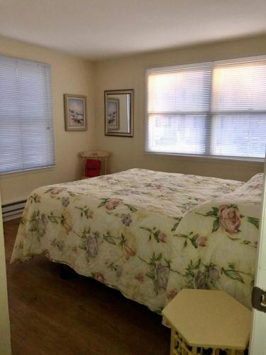 Beachy Cape Cod Perfect For Families in Beach Haven, USA