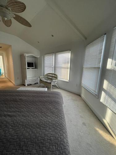 Ocean Block In Beach Haven in Beach Haven, USA