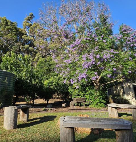 Forest Trails House, Dwellingup