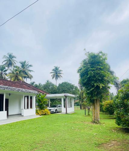 정원, Terance Bungalow- Kosgoda in 코스고다