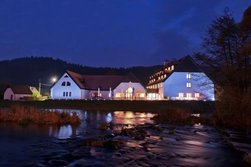 . Hotel Vír