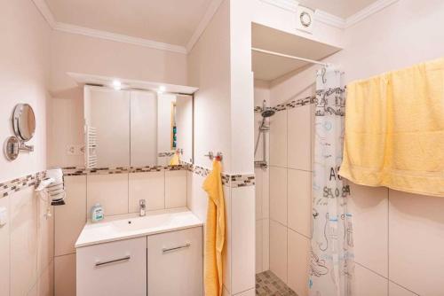 One-Bedroom Apartment with Terrace image 2