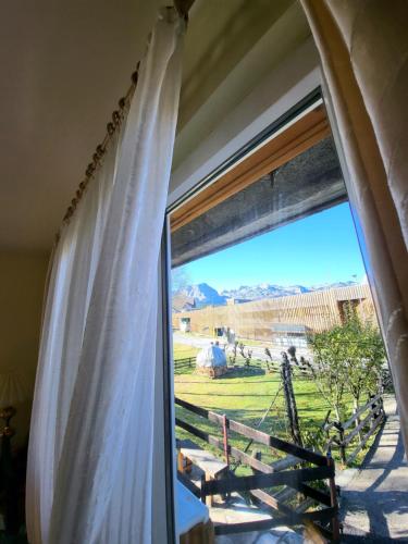 Apartments Zorić - image 7