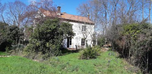 Dārzs, L'apicasa de Bassan in Bassan