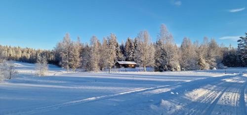 A szálláshely kívülről, Nygård Cabins - brandnew, fully equipped home in nature (Nygard Cabins - brandnew, fully equipped home in nature) in Sunne