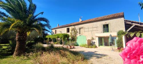 Gîte palmier Mas La cle d ailleurs - Location saisonnière - Lapalud