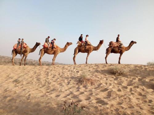 Osian Camel safari and Village home stay