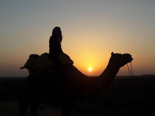 Osian Camel safari and Village home stay