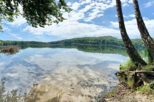 gemütliches Ferienhaus für 4 Personen mit Kamin in ruhiger Lage (gemutliches Ferienhaus fur 4 Personen mit Kamin in ruhiger Lage) in كورسواندت