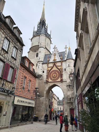 Le Saint Eusèbe, Auxerre (foto 10)