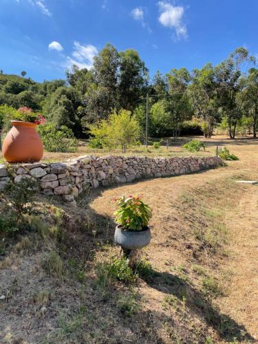 Villa de charme au coeur du maquis Corse