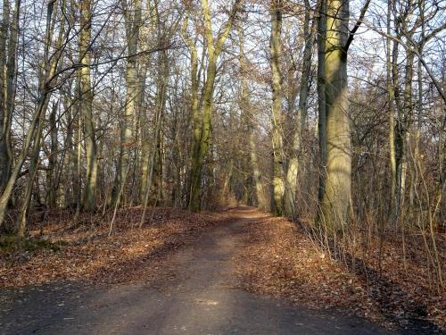 Ferienwohnung Neubrandenburg-Broda - Ruhe und mehr