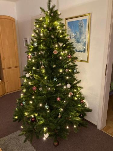 Lütje Huus am Meer Lütje Huus am Meer