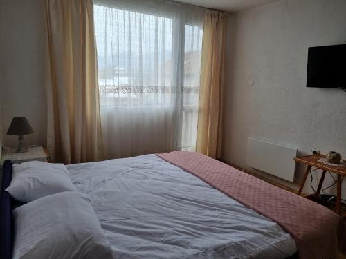 B&B Ravnogor - Къща ВИРА - Bed and Breakfast Ravnogor