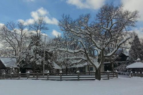 Bourbon Trail Cabin on the Farm in Lorensburga (KY)