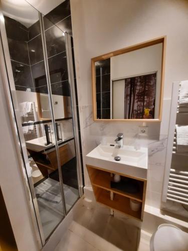 Hotel Du Cygne Tours - image 14
