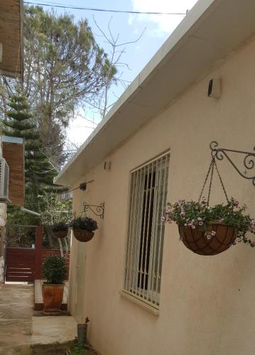 편의 시설/서비스, Jerusalem Views Holiday Studio in 메바세레트 지온